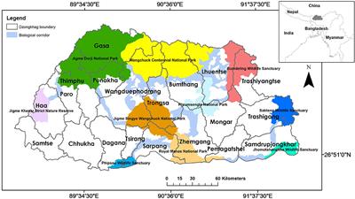Conserving an Endangered Canid: Assessing Distribution, Habitat Protection, and Connectivity for the Dhole (Cuon alpinus) in Bhutan